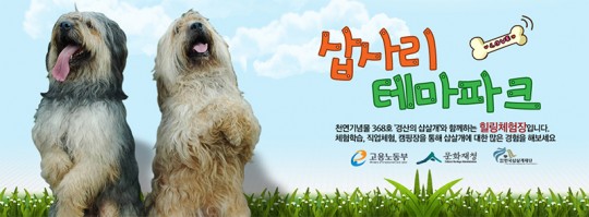 삽사리
