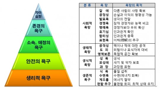 ▲매슬로의 욕구의 5단계