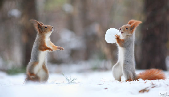 Russia-Nature (1)