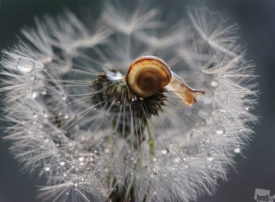 Russia-Nature (10)