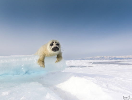 Russia-Nature (8)