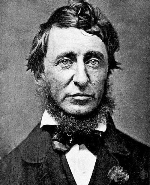 (Henry David Thoreau, 영문학과 여학생들이 꼭 들고 다니던 Walden이라는 책의 저자입니다.)