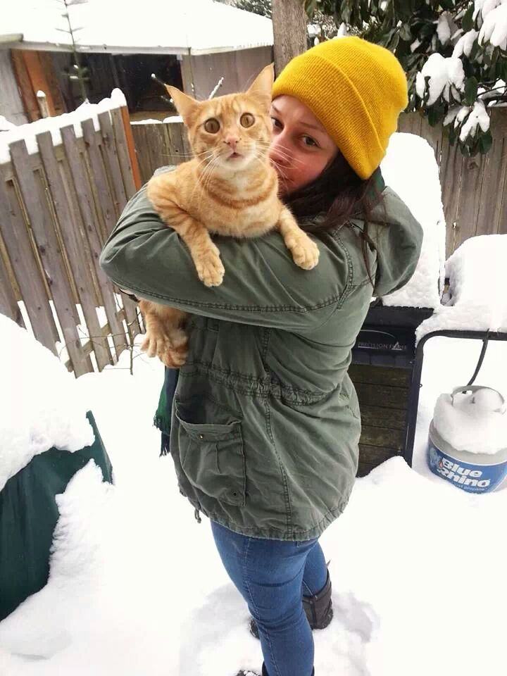 Cat-Experiencing-Snow-For-The-First-Time-Knows-That-Its-Actually-Water-In-Disguise-1
