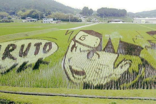 Tanbo-Art-Giant-Illustrations-Rice-Fields-Japan-1