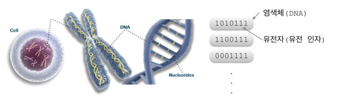  생물학에서의 유전자와 유전 알고리즘에서의 유전자, 유전 인자