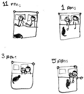 diagram_cat_sleep-011508
