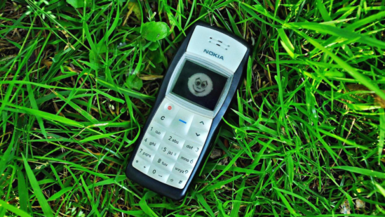Nokia 1100의 모습 