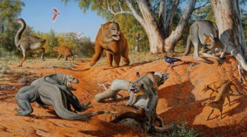 인간이 호주의 거대 동물을 멸종시켰다?