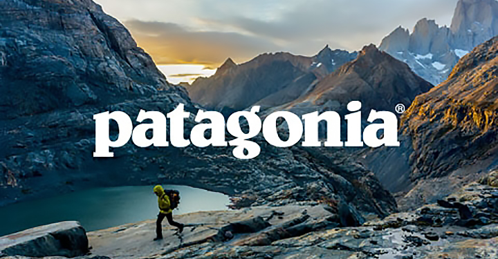 Бренд патагония. Patagonia реклама. Патагония компания. Patagonia бренд. Патагония логотип.