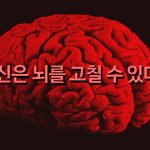 의심스러운 베스트셀러: 『당신은 뇌를 고칠 수 있다』?