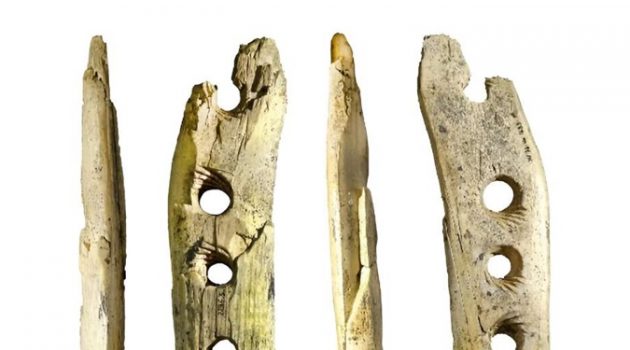 3만 7천년 전 원시인이 쓰던 미스터리한 도구의 용도
